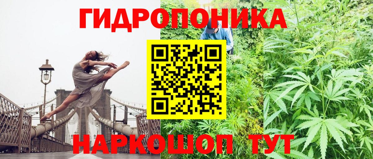 Химки  Шишки марихуана сатива  Шишки марихуана VHQ  Вход с VPN  Конопля White Widow 
